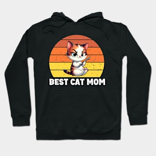 Best Cat Mom Hoodie